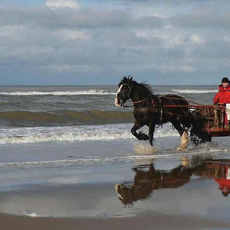 Apartmán Centraal Aan Zee Egmond aan Zee Exteriér fotografie